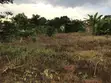 Land for Sale - Budo Kisozi, Bukalubba - 1