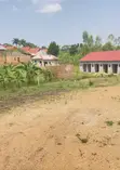 Plot for Sale - Buwambo Town, 50x70m, UGX 20M Negotiable - 1