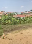 Plot for Sale - Buwambo Town, 50x70m, UGX 20M Negotiable - 2