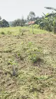 Plot for Sale - Buwambo Town, 50x70m, UGX 20M Negotiable - 4