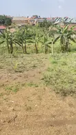 Plot for Sale - Buwambo Town, 50x70m, UGX 20M Negotiable - 5