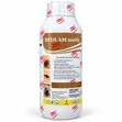 Odorless Bedbug & Cockroach Killer Insecticide 1L - 1