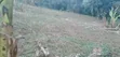 100x100 Ft Plot for Sale in Wabitembe, Matugga - 1