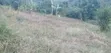 100x100 Ft Plot for Sale in Wabitembe, Matugga - 3