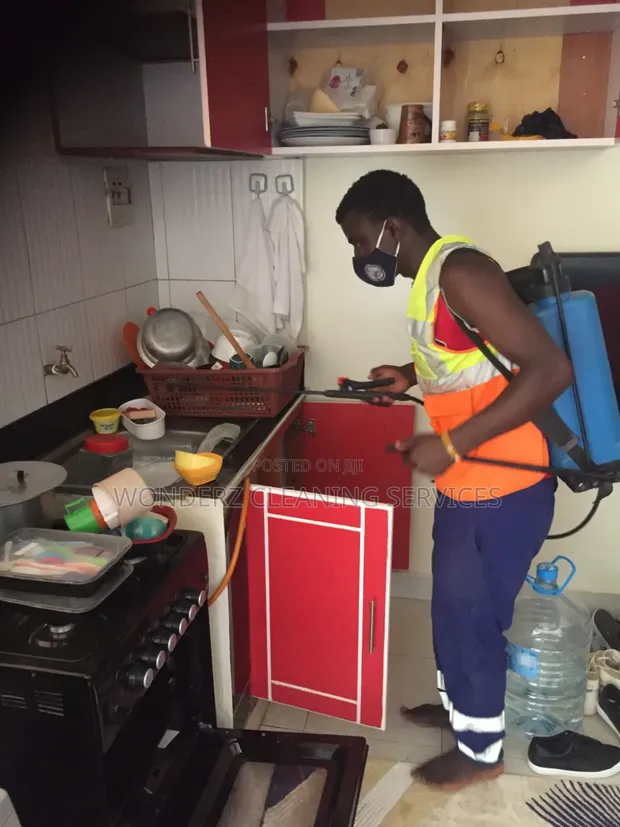 Pest Control & Fumigation Services - 1