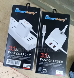 3.1A Dmart Berry Smart Charger