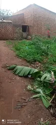 Mende-Wakiso Residential Land for Sale - 1