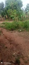 Mende-Wakiso Residential Land for Sale - 2