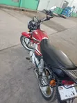 TVS HLX 125 2019 Red - 3