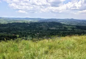 6 Square Mile Land for Sale in Nakasongola, Nakitoma