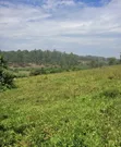 6 Square Mile Land for Sale in Nakasongola, Nakitoma - 2