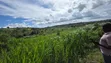 7 Sq Miles Freehold Land, Mityana Road - 1