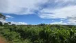 7 Sq Miles Freehold Land, Mityana Road - 2