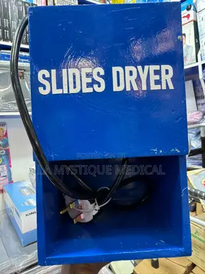 Portable Electric Slide Dryer
