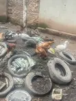 Composed Manure - 1