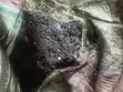 Composed Manure - 2