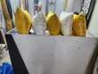 Home Interiors Cushions - 1