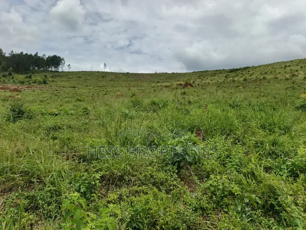 100 Acres Land for Sale in Butiiti Town Council, Kyenjojo - 1