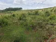 100 Acres Land for Sale in Butiiti Town Council, Kyenjojo - 3