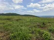 100 Acres Land for Sale in Butiiti Town Council, Kyenjojo - 4