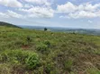 100 Acres Land for Sale in Butiiti Town Council, Kyenjojo - 5