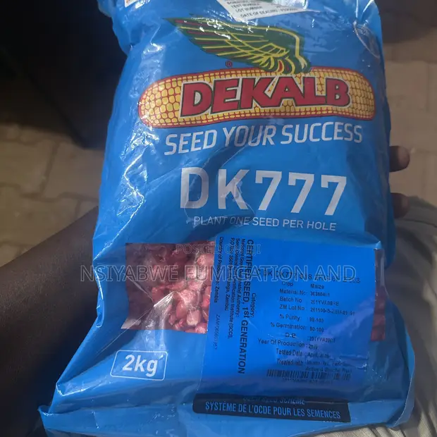 DK Maize Seeds - 1
