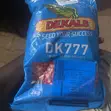 DK Maize Seeds - 1