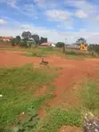 2 Acres of Land for Sale - Masooli, Kasangati - 2