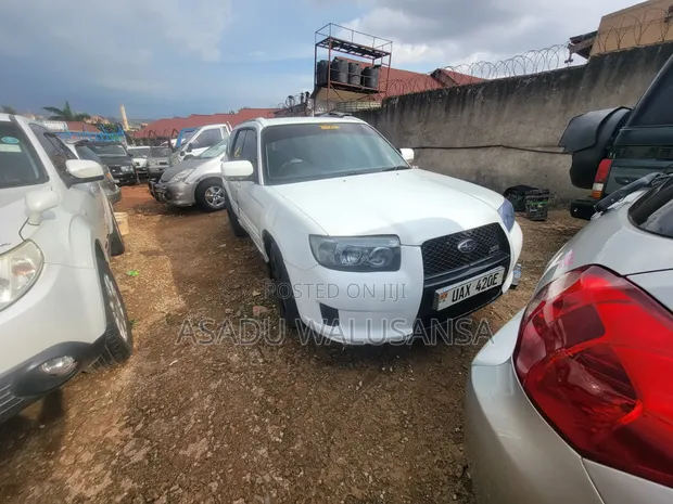 Subaru Forester 2006 White - 1