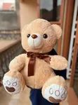 Fluffy Bear Toy - Many Colors Available - 2