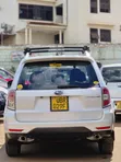Subaru Forester 2010 White - 4