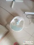 Salon Equipment: Steamer, Dryer, Magnifying Lamp, Foot Spa - 4