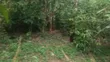 Kibanja Land for Sale in Zzigi Ssekanyonyi - 3
