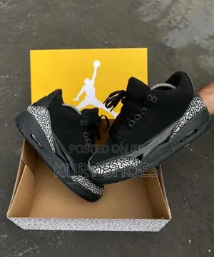 Air Jordan 3 'Black Cat'