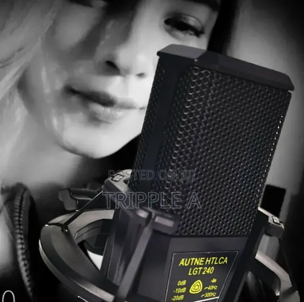LGT 240 Professional Condenser Microphone - 1