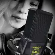 LGT 240 Professional Condenser Microphone - 1