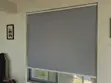 Brand New Grew Single Roller Blind - 1