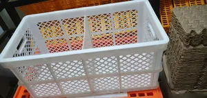 Egg Transport Baskets