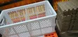 Egg Transport Baskets - 2
