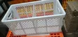 Egg Transport Baskets - 3