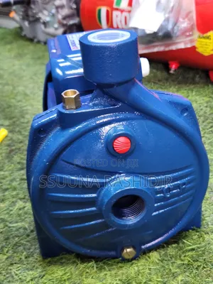 Pedrollo Surface Water Pump 1hp