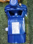Pedrollo Surface Water Pump 1hp - 3