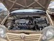 Toyota Allex 2003 Gold - 5