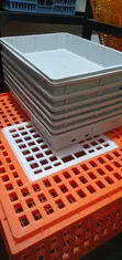 Plastic Incubator Water Tank - 2