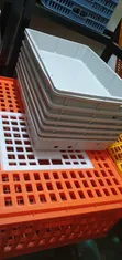 Plastic Incubator Water Tank - 3