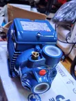 Pedrollo Surface Water Pump 0.5 HP - 5