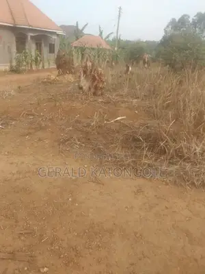 Plot of Land for Sale - 50x100ft in Kkingo
