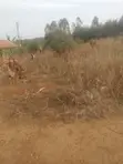 Plot of Land for Sale - 50x100ft in Kkingo - 2