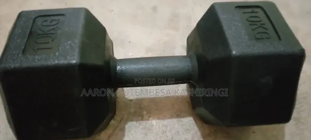 Bodygym 10kg Gym Dumbbell (Pair) - 1