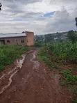 Mailo Land for Sale in Maanyi - 2